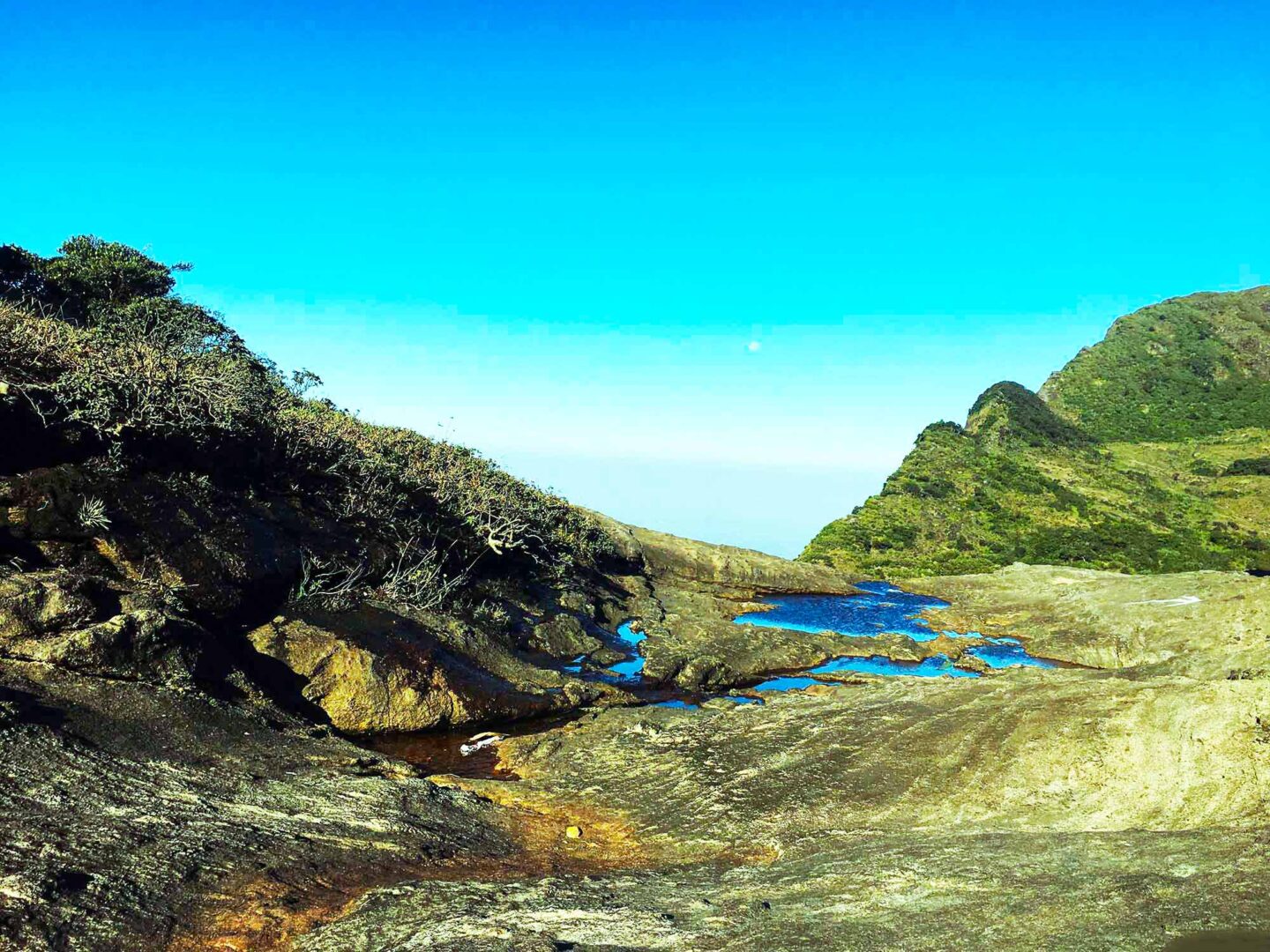 അഗസ്ത്യാര്‍കൂടം