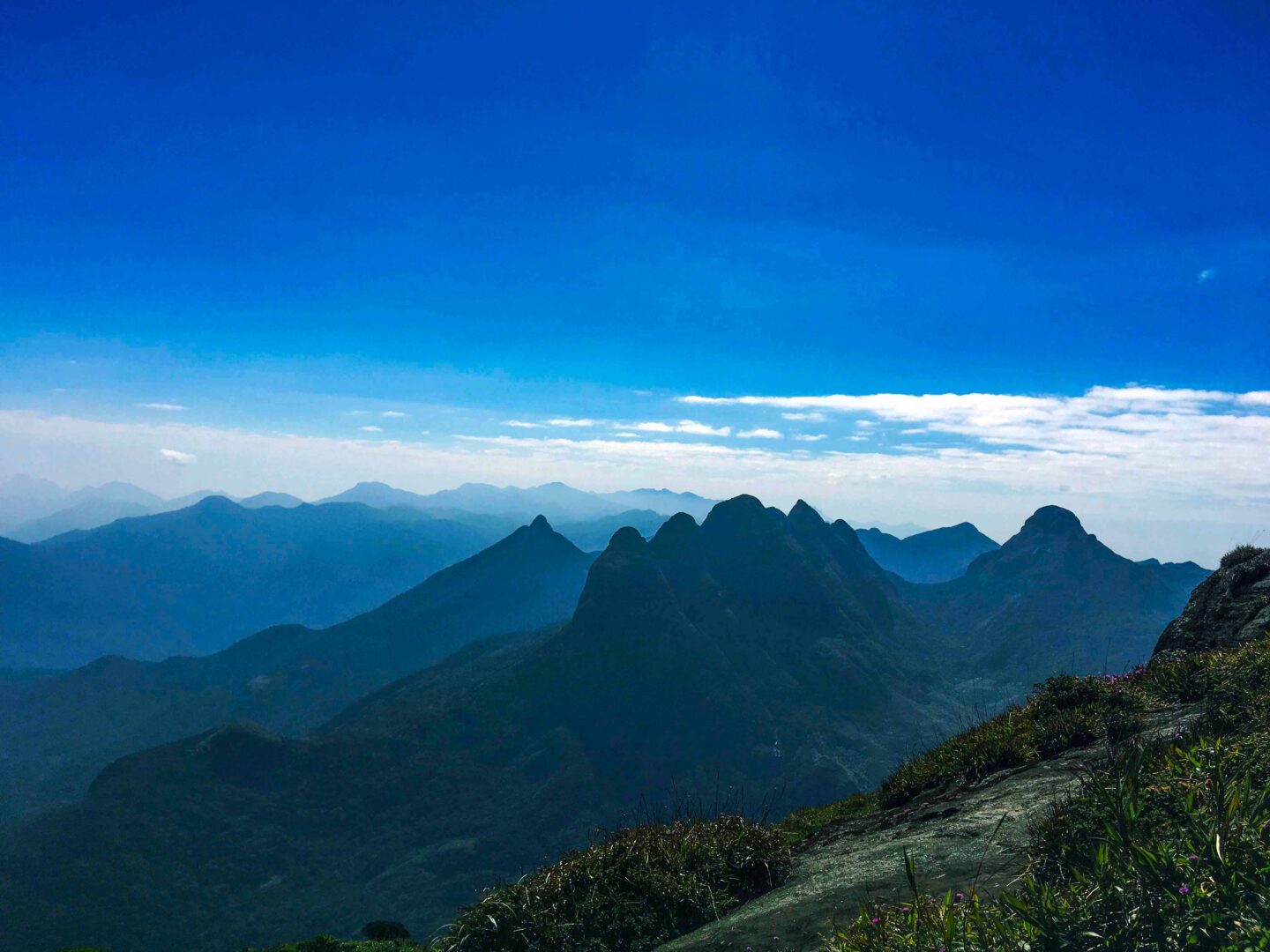 അഗസ്ത്യാര്‍ കൂടം